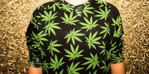 Cannabis