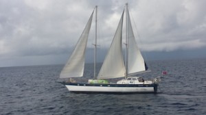 Photo 1 bateau interceptÇ