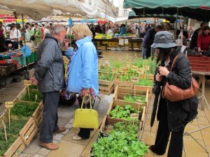 Trafic Marché Beaune