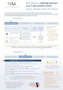  HAS Outil d'aide au repérage précoce et intervention brève _ alcool, cannabis, tabac chez l'adulte