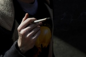 Cannabis