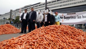 Buralistes Carottes Bercy
