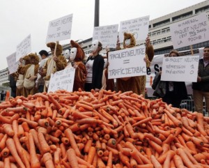 Buralistes Manifestation Bercy