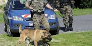 Gendarme chien