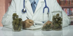 Cannabis