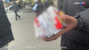 contrebande dans l'oise à la gare de creil, reportage camera cachée tf1