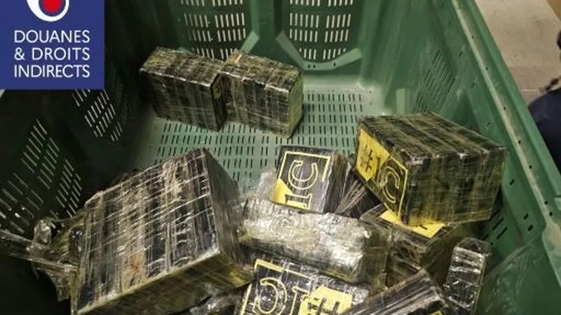 saisie douane perpignan