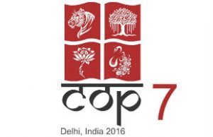 cop7docs-media-accreditation-top-story-300x194